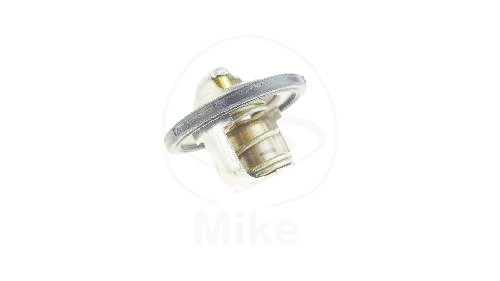 Thermostat Oe